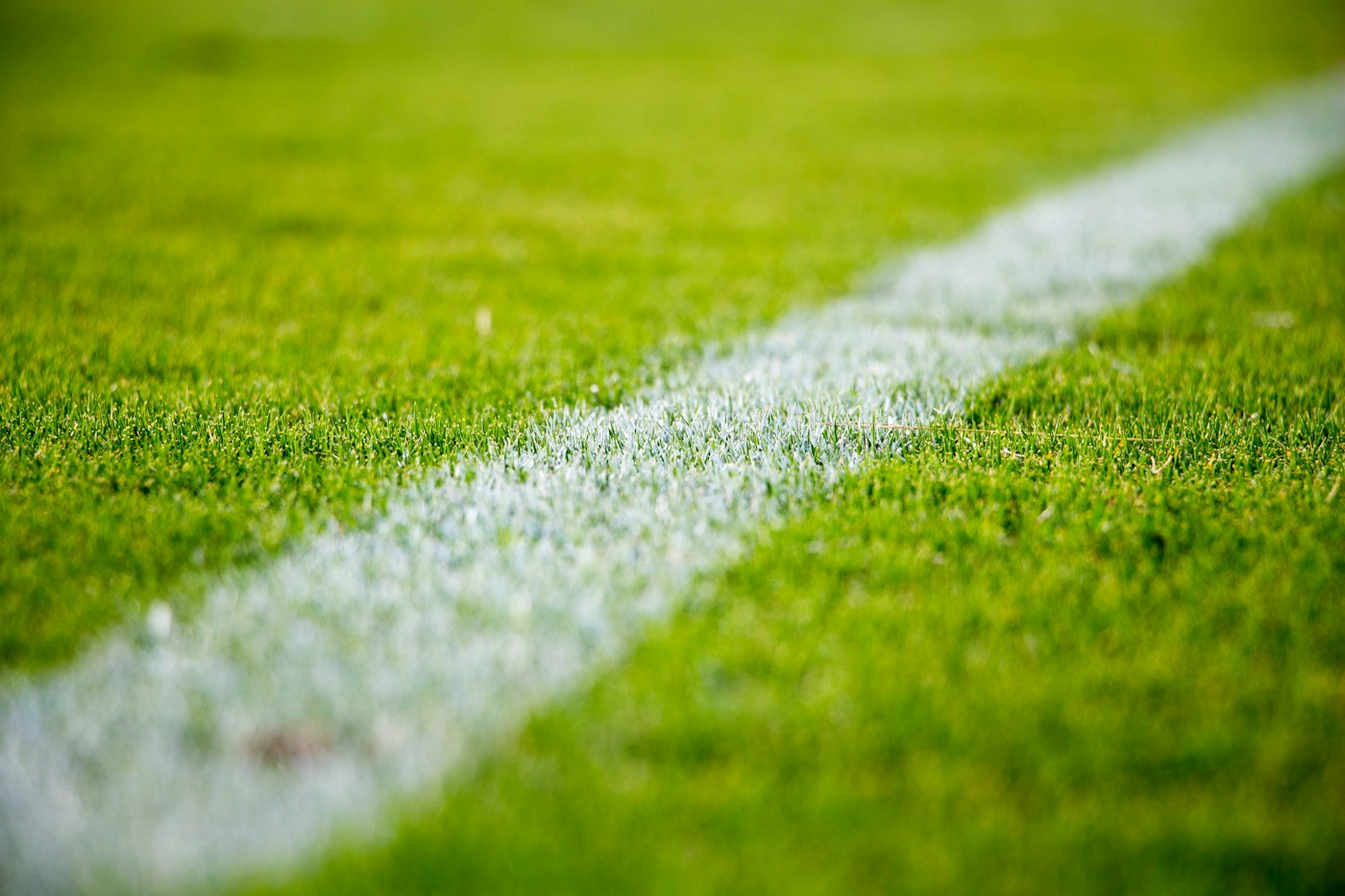 Detalle del césped y de la línea de un campo de fútbol